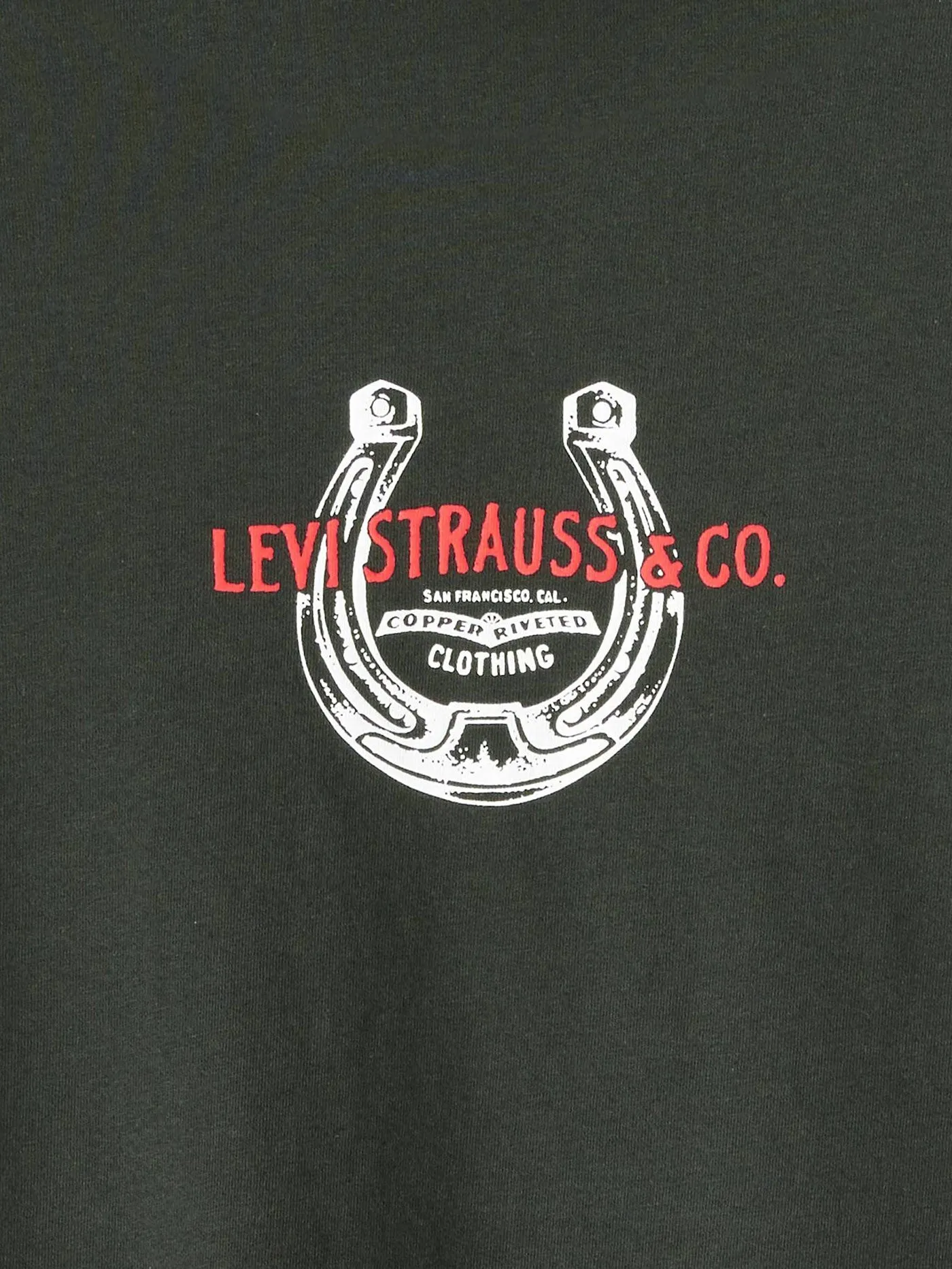 Graphic Horseshoe Pirate Black T-Shirt