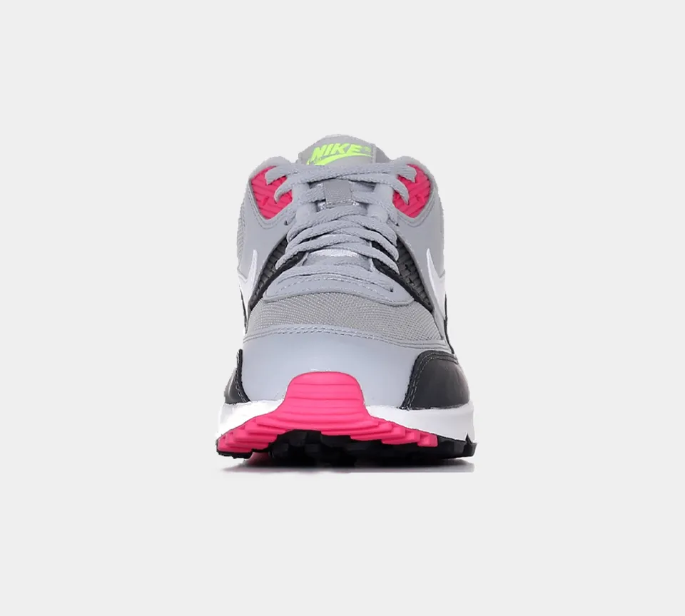 Nike Air Max 90 Essentials AJ1285 020 Wolf Grey UK