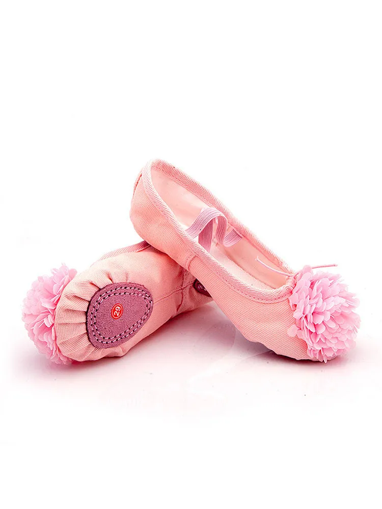 Training Ballet Shoes Soft Sole Flower Cat Claw Shoes