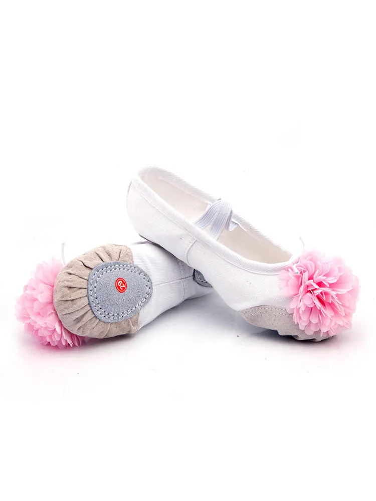 Training Ballet Shoes Soft Sole Flower Cat Claw Shoes