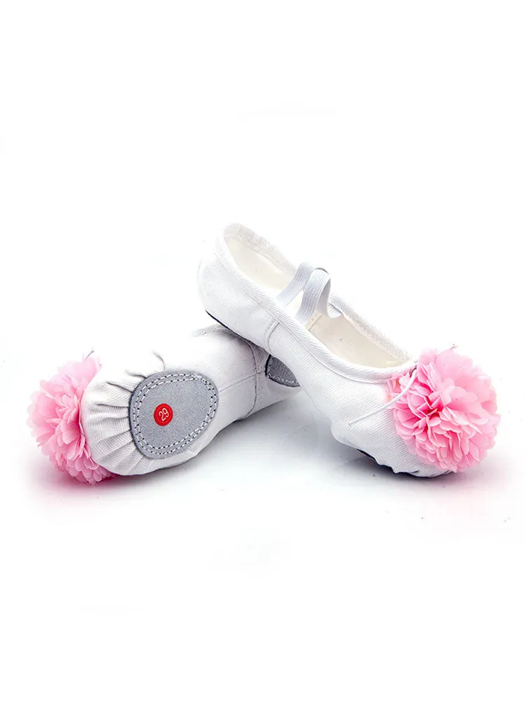 Training Ballet Shoes Soft Sole Flower Cat Claw Shoes