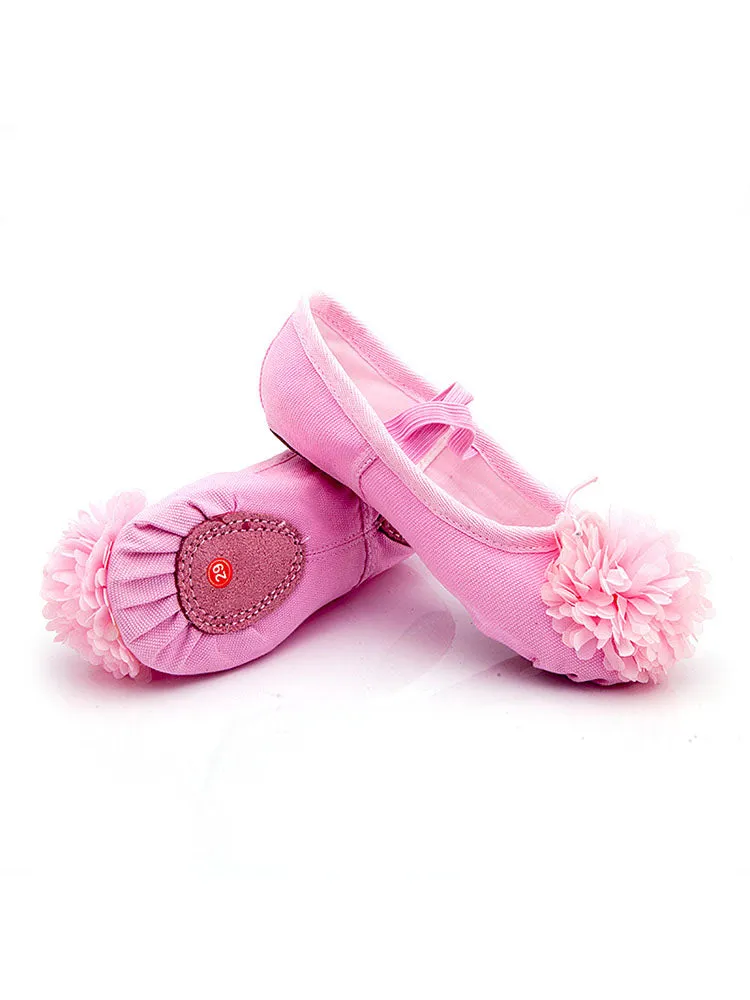 Training Ballet Shoes Soft Sole Flower Cat Claw Shoes