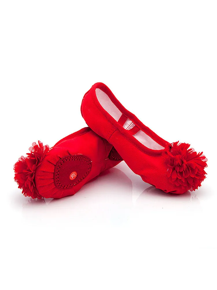 Training Ballet Shoes Soft Sole Flower Cat Claw Shoes