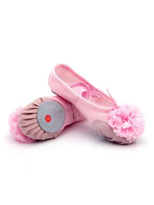 Training Ballet Shoes Soft Sole Flower Cat Claw Shoes