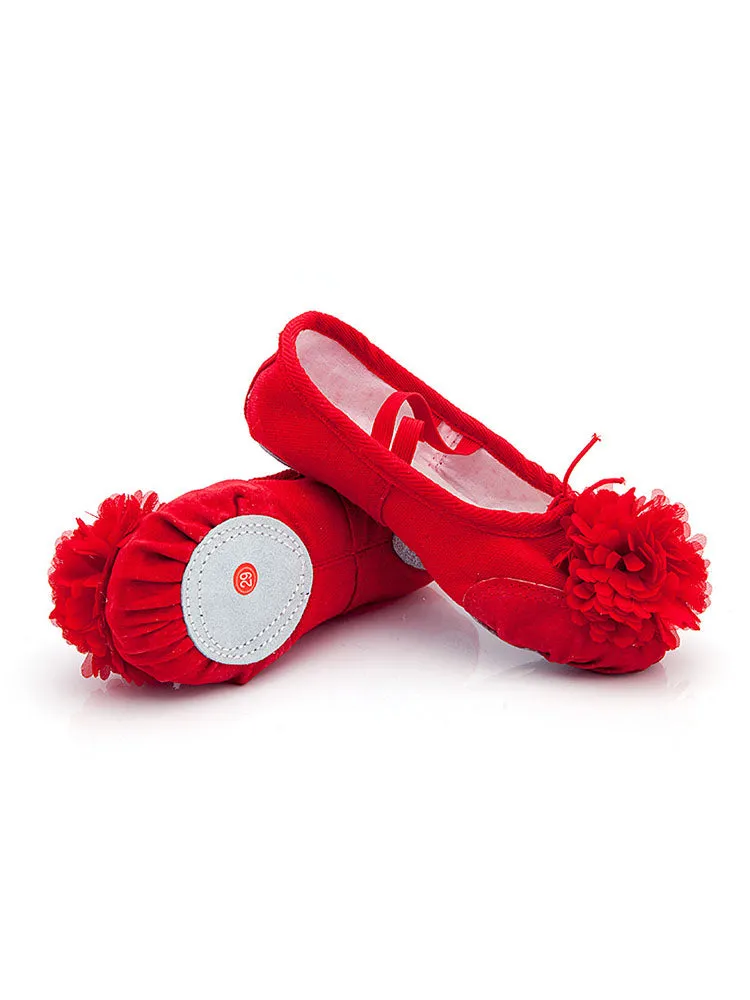 Training Ballet Shoes Soft Sole Flower Cat Claw Shoes